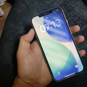 IPhone 12 pro max/256gb