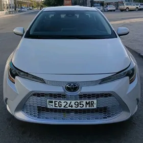 Toyota Corolla 2020
