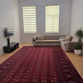 14 tapgyr elitka 5 komnat jay