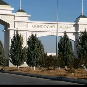 altyn asyr gundogar bazary C