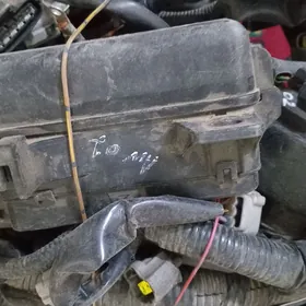 avalon avalon kampitor prowad