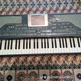Korg Pa 800