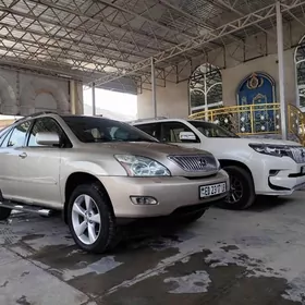 Lexus RX 330 2004