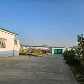 nurly zaman plan jay