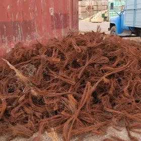 Sim 1.2 lik Wizalny Yanan Sim