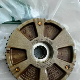 wanus matorynky elektronny