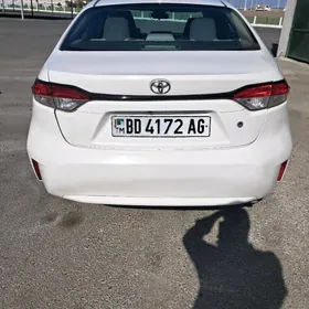 Toyota Corolla 2020