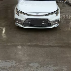 Toyota Corolla 2020