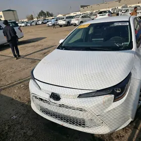 Toyota Corolla 2022