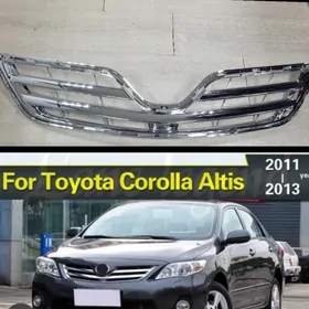 Karolla abelsowka 2011.2013