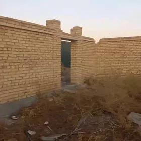 Mellek kone aýraportda