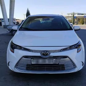 Toyota Corolla 2023