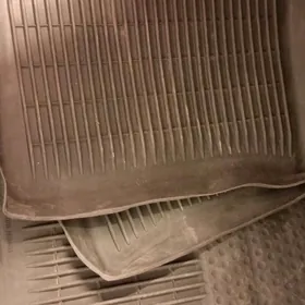 kowryk 2020-2022 karollanky