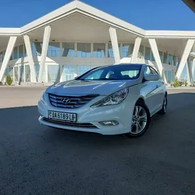 Hyundai Sonata 2010