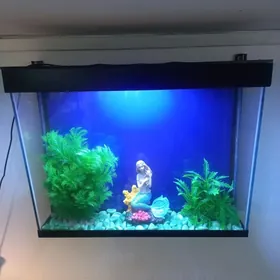 Аквариум настенный