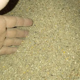 Bedene iym корм для перепелов