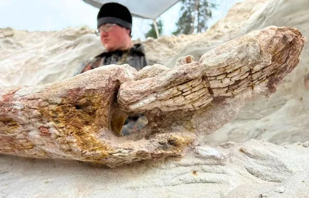 Russiýada ýaşy 385 million ýyllyk agaç tapyldy