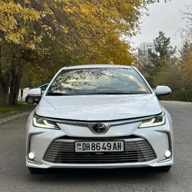 Toyota Corolla 2020