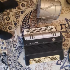 akardyon kıçı dep