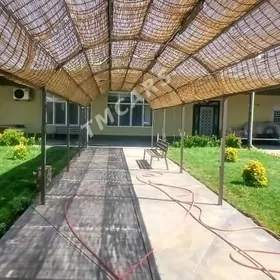 Arenda  jay plan kreyine аренд