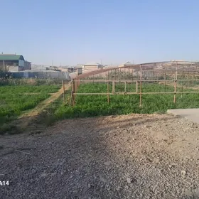 Satlyk jaý Taze ýol plan