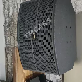 CAF L210..professional saund