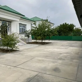 Taze zaman palan 5 kom yeri 8