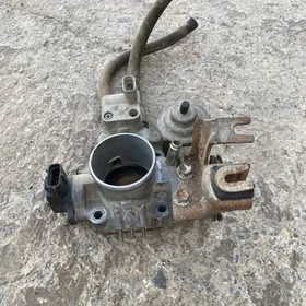 Samsyk cemry zas/ ka