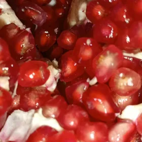 SAFYOR TREZWİ WADİTEEL SURJİ