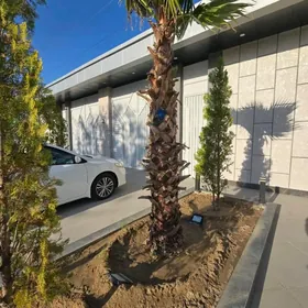 ☆ FULL Çoganly ☆