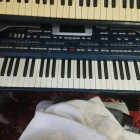 Korg PA 800