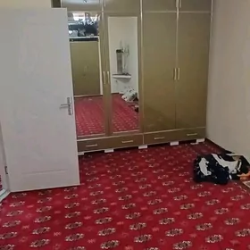 Бизмеин Грэсс 1в2ком