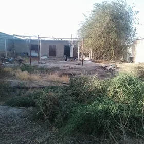 Дача (9 комиссаров)