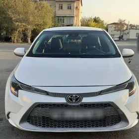 Toyota Corolla 2020