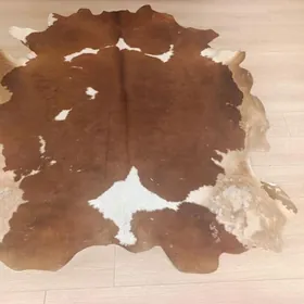 Шкура техасский буйвол