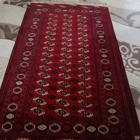 Baherden el haly taze