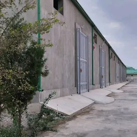 Ammar skladlar Gyssagly