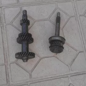 18 diş perewişni blok şestrnas