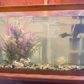 Аквариум для рыбок
