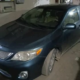 Toyota Corolla 2010