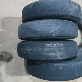 12 lik balon. bezkamir