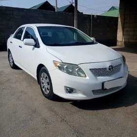 Toyota Corolla 2010