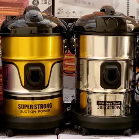 plesos palisos tozan sorujy