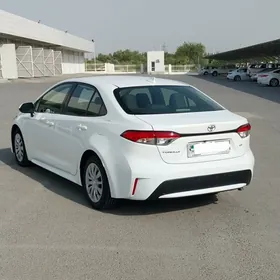Toyota Corolla 2019