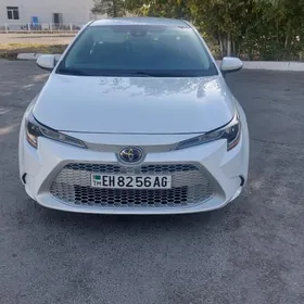 Toyota Corolla 2020