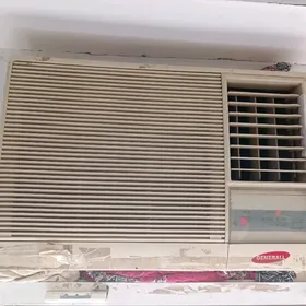 Кадицанер окнуни.