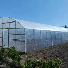 Teplisa-парник