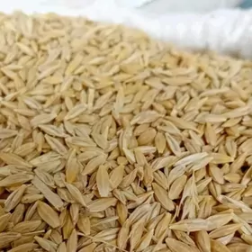 Arpa Pyrtykal garylan