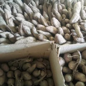 СЛАДКИЙ КАРТОШКА .БАТАТ