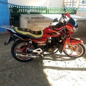 Fekon FK200-14G 2025